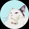 georgies_goods